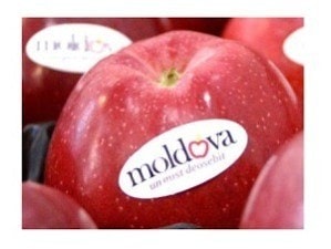 Россельхознадзор разрешил ввоз молдавских яблок в Россию 