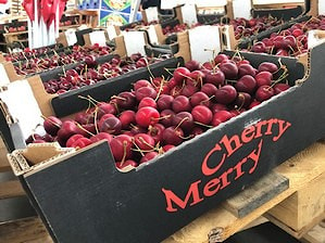 Черешневый сезон 2020 – бренд Merry Cherry