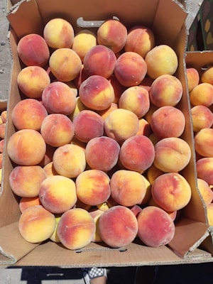 Ранний молдавский персик