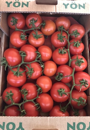 Томат из Турции на любой вкус!