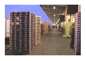 Organizing sales and customs clearance of imported fruit and vegetables in Belarus  